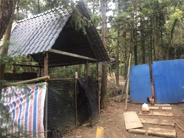 1536221298814125.jpg 640.webp (1).jpg