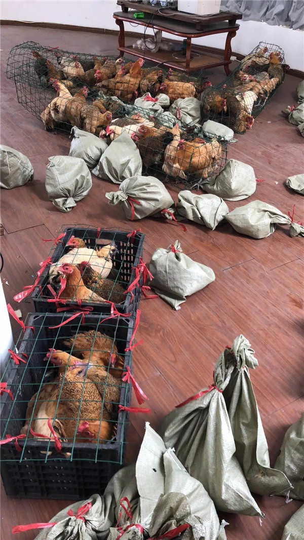 1536221368387470.jpg 640.webp (8).jpg