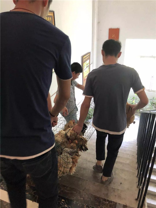 1536221402891846.jpg 640.webp (16).jpg